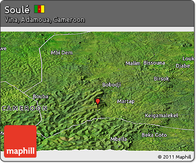 Satellite Panoramic Map of Soulé