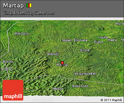 Satellite Panoramic Map of Martap