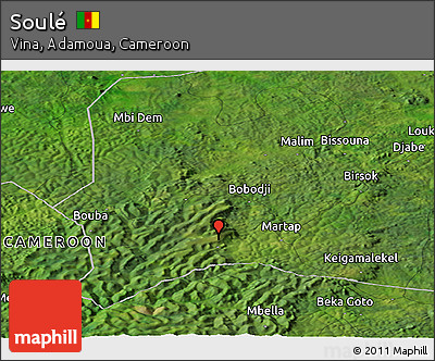 Satellite Panoramic Map of Soulé