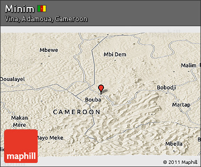 Shaded Relief Panoramic Map of Minim