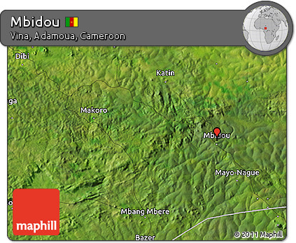 Satellite 3D Map of Mbidou