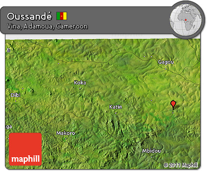 Satellite 3D Map of Oussandé