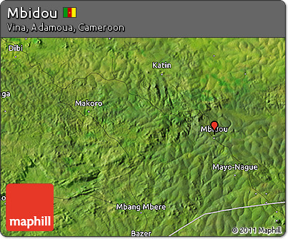 Satellite 3D Map of Mbidou