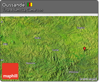 Satellite 3D Map of Oussandé