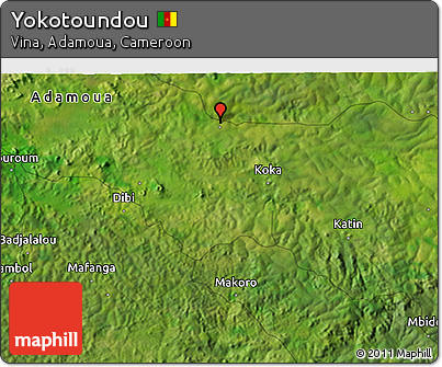 Satellite 3D Map of Yokotoundou