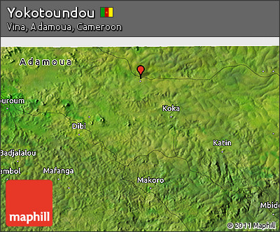 Satellite 3D Map of Yokotoundou