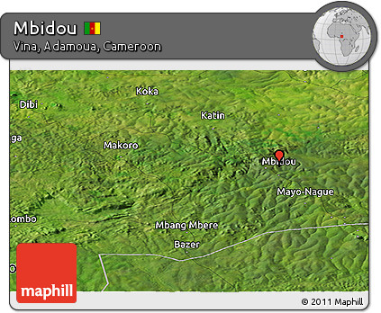 Satellite Panoramic Map of Mbidou