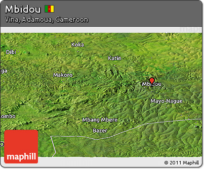 Satellite Panoramic Map of Mbidou