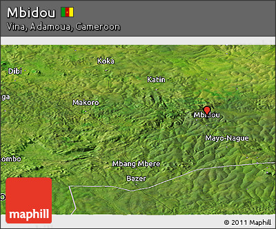 Satellite Panoramic Map of Mbidou