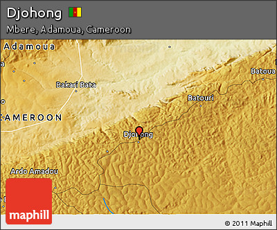 Physical 3D Map of Djohong