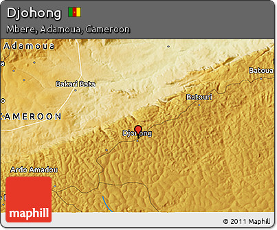 Physical 3D Map of Djohong