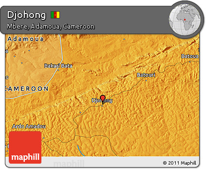 Political 3D Map of Djohong