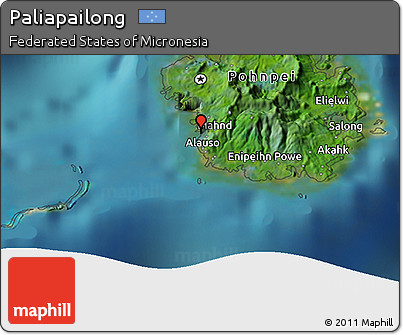Satellite 3D Map of Paliapailong