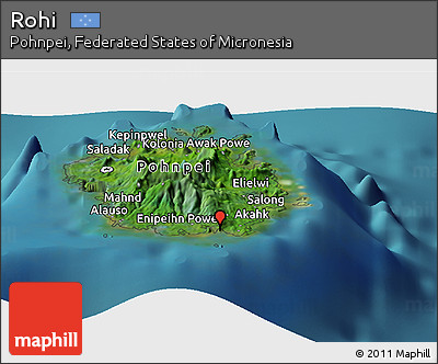 Satellite Panoramic Map of Rohi