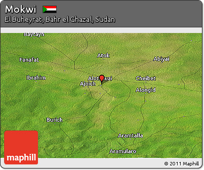 Satellite Panoramic Map of Mokwi