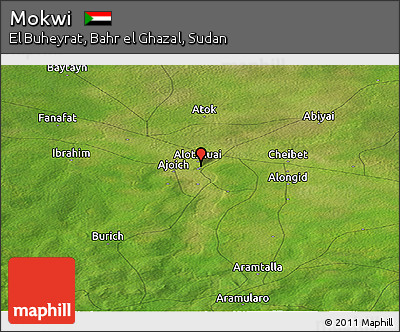 Satellite Panoramic Map of Mokwi