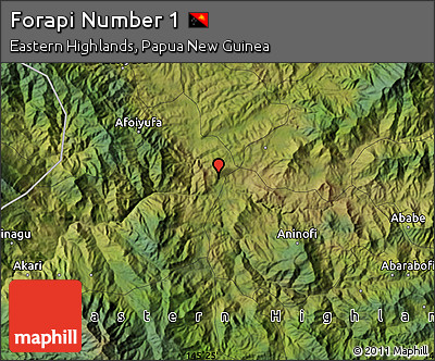 Satellite Map of Forapi Number 1