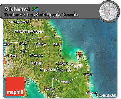 Satellite 3D Map of Michamvi