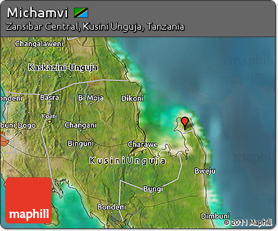 Satellite 3D Map of Michamvi