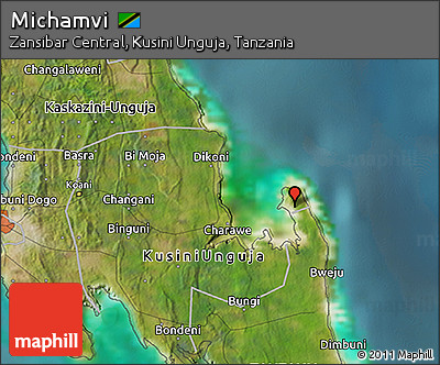 Satellite 3D Map of Michamvi