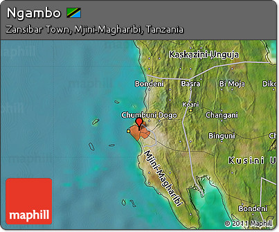 Satellite Map of Ngambo