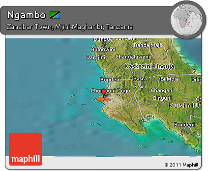 Satellite Panoramic Map of Ngambo