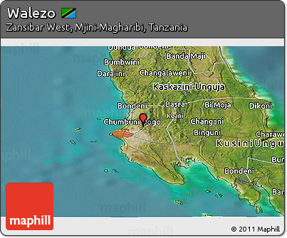 Satellite Panoramic Map of Walezo