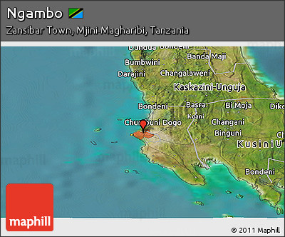 Satellite Panoramic Map of Ngambo
