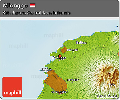Physical 3D Map of Mlonggo