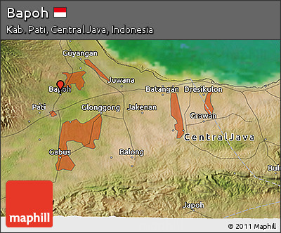 Satellite 3D Map of Bapoh
