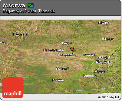 Satellite Panoramic Map of Msorwa