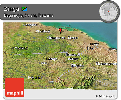 Satellite Panoramic Map of Zinga
