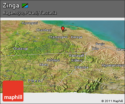 Satellite Panoramic Map of Zinga