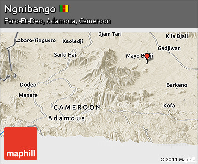 Shaded Relief Panoramic Map of Ngnibango