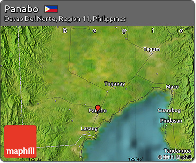 Satellite Map of Panabo