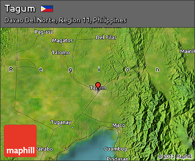 Satellite Map of Tagum