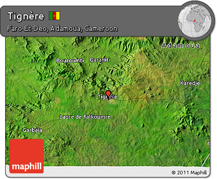 Satellite 3D Map of Tignère