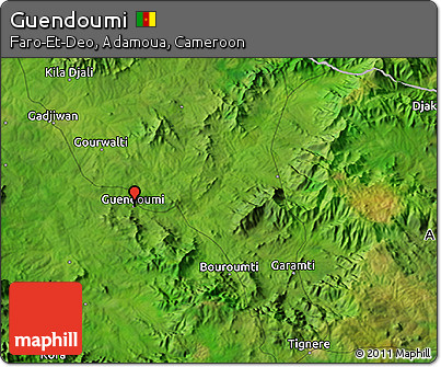 Satellite 3D Map of Guendoumi