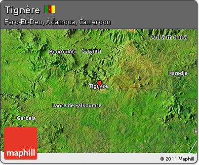 Satellite 3D Map of Tignère