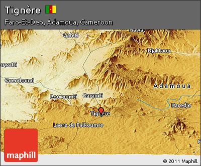 Physical Panoramic Map of Tignère