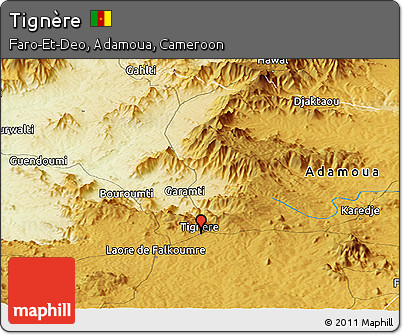 Physical Panoramic Map of Tignère