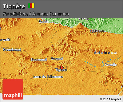 Political Panoramic Map of Tignère