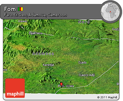 Satellite Panoramic Map of Fom