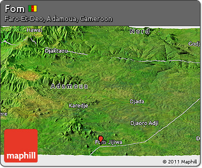 Satellite Panoramic Map of Fom