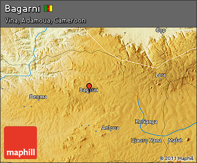 Physical 3D Map of Bagarni