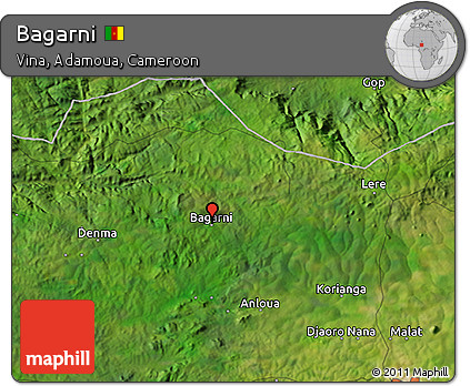 Satellite 3D Map of Bagarni
