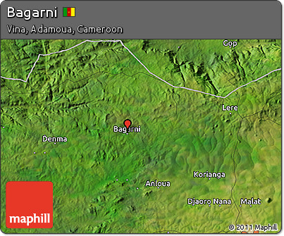 Satellite 3D Map of Bagarni