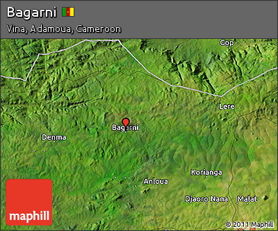 Satellite 3D Map of Bagarni
