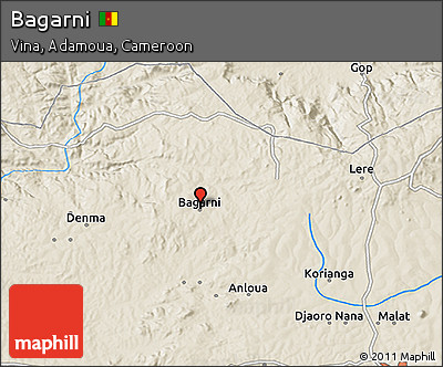 Shaded Relief 3D Map of Bagarni