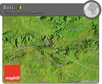 Satellite Map of Bossi